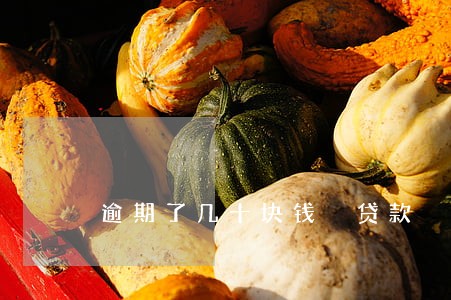 逾期了几十块钱 贷款 逾期了几十块钱 贷款